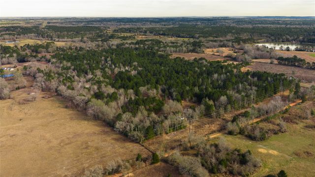 3662 ACR 359, Palestine, TX 75803