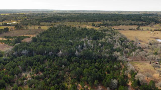 3662 ACR 359, Palestine, TX 75803