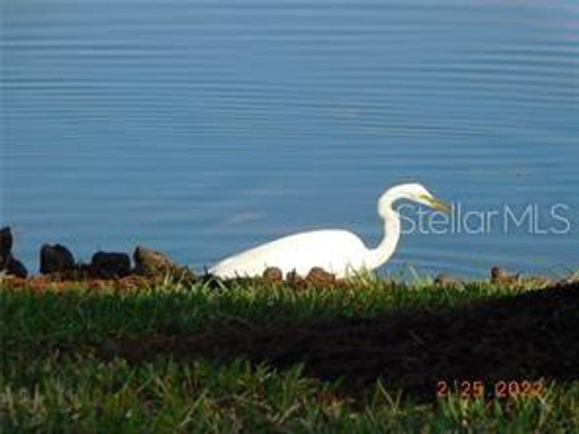 25545 HERITAGE LAKE BOULEVARD 21, Punta Gorda, FL 33983