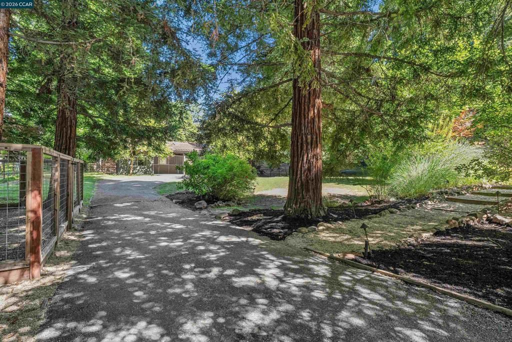Image 68 of property listing at 39 Comistas Ct, Walnut Creek, CA 94598