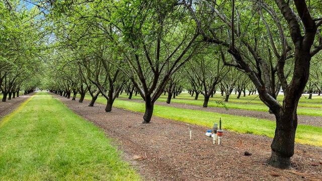 25926 Austin Rd, Ripon, CA 95366