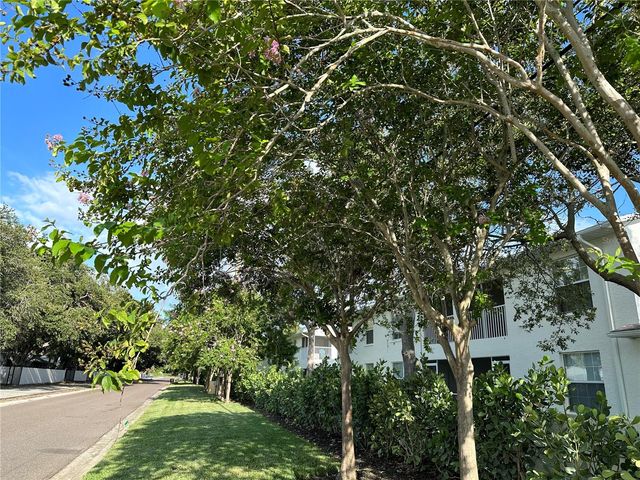 3890 34TH AVENUE S 203, St Petersburg, FL 33711