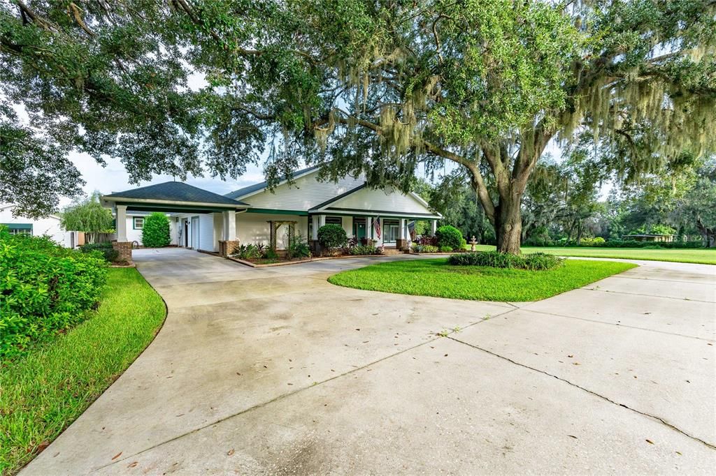 10115 CURLEY ROAD, San Antonio, FL 33576