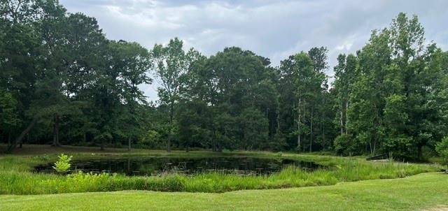 377 County Road 3798, Cleveland, TX 77328