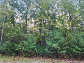 6842 White Pine Drive, Stanwood, MI 49346