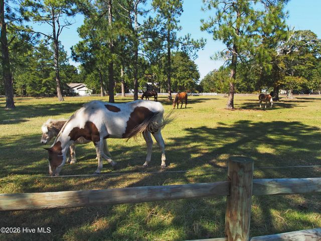 112 Shady Wood Court, West End, NC 27376