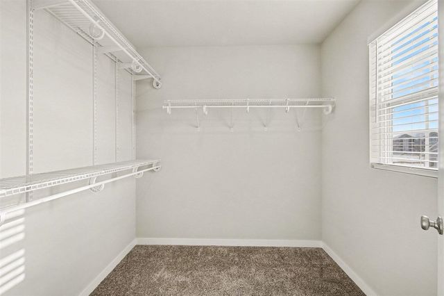 871 Winchester Street, Holland, MI 49423