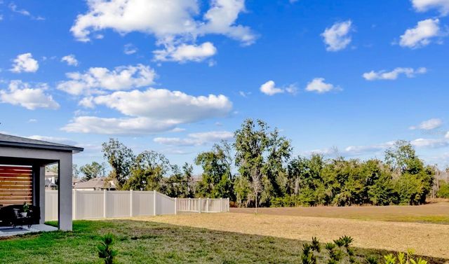 12107 NOUVEAU AVENUE, Spring Hill, FL 34610