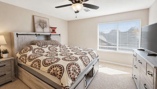 17430 Cedar Rock Dr Drive, Hockley, TX 77447