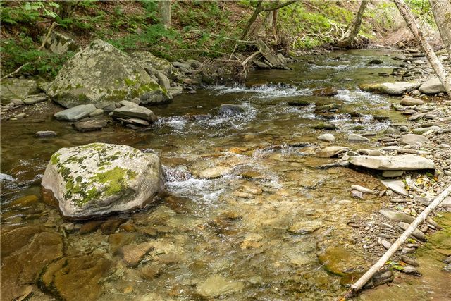 1849 Trout Brook Road, Colchester, NY 13755