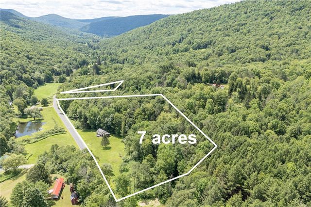 1849 Trout Brook Road, Colchester, NY 13755