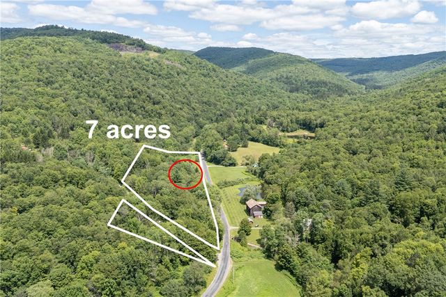 1849 Trout Brook Road, Colchester, NY 13755