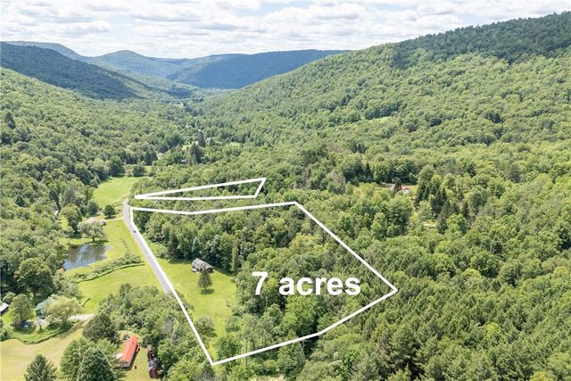 1849 Trout Brook Road, Colchester, NY 13755