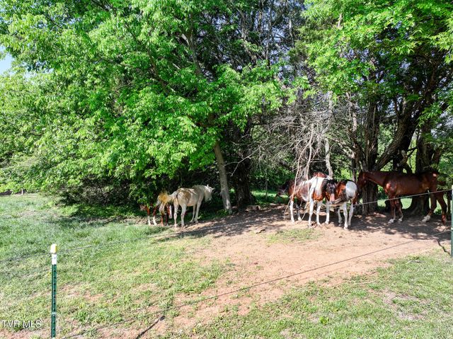 1980 South Allens Bridge Road, Greeneville, TN 37743
