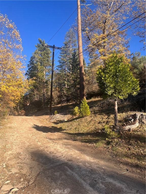 29834 Juniper Drive, Cedar Glen, CA 92321