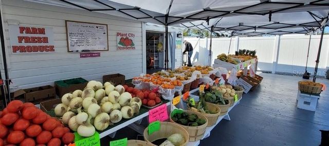 3351 BAHIA VISTA STREET, Sarasota, FL 34239