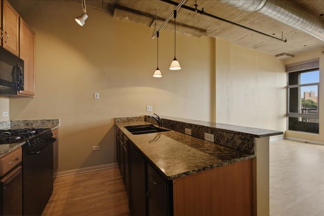 1550 S Blue Island Avenue 412, Chicago, IL 60608