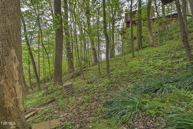 3411 Linkwood Drive, Johnson City, TN 37601