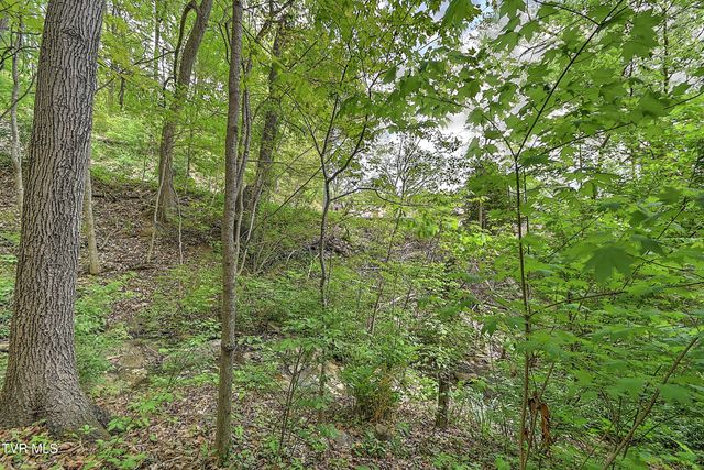 3411 Linkwood Drive, Johnson City, TN 37601