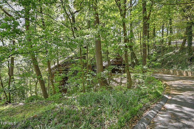 3411 Linkwood Drive, Johnson City, TN 37601