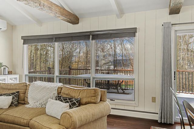 221 Brush Hill Road, Stowe, VT 05672