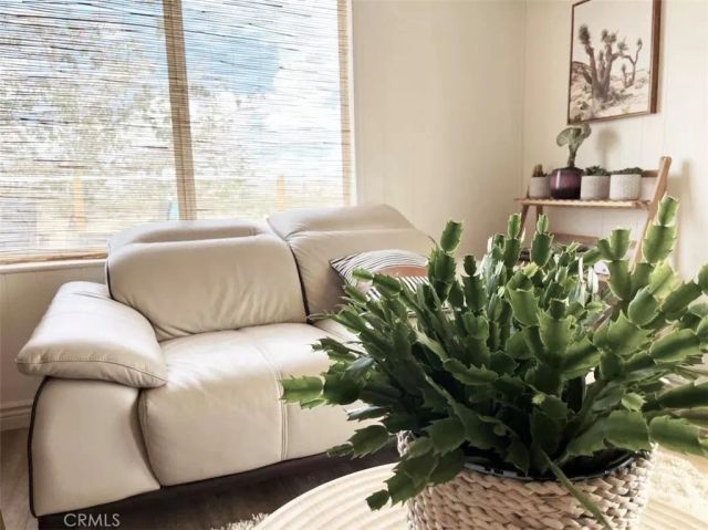 5238 Rice, Joshua Tree, CA 92252