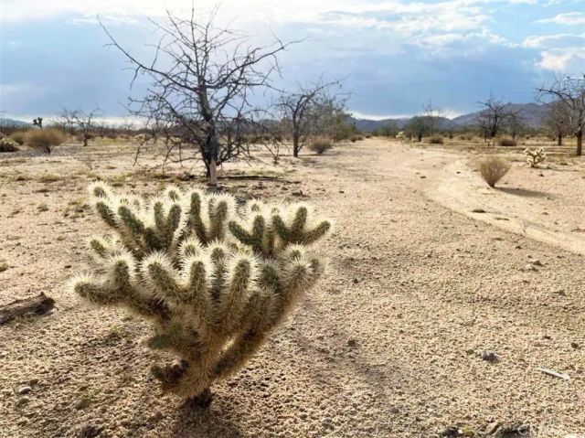 5238 Rice, Joshua Tree, CA 92252