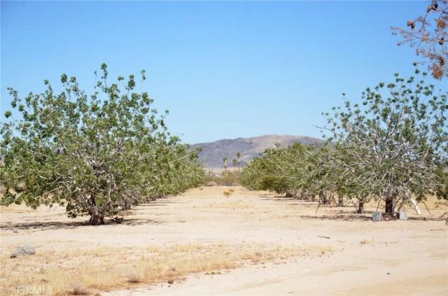 5238 Rice, Joshua Tree, CA 92252