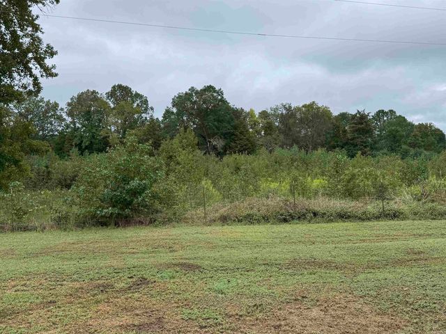 301 Lewallen Street, Arkadelphia, AR 71923