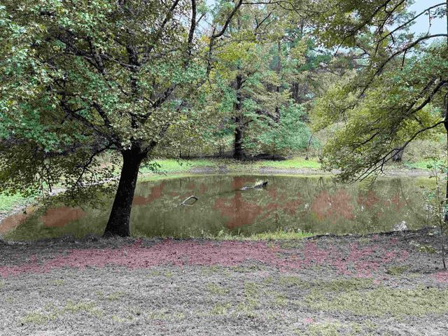 301 Lewallen Street, Arkadelphia, AR 71923