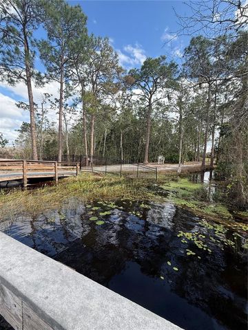 6911 BEARGRASS ROAD, Harmony, FL 34773