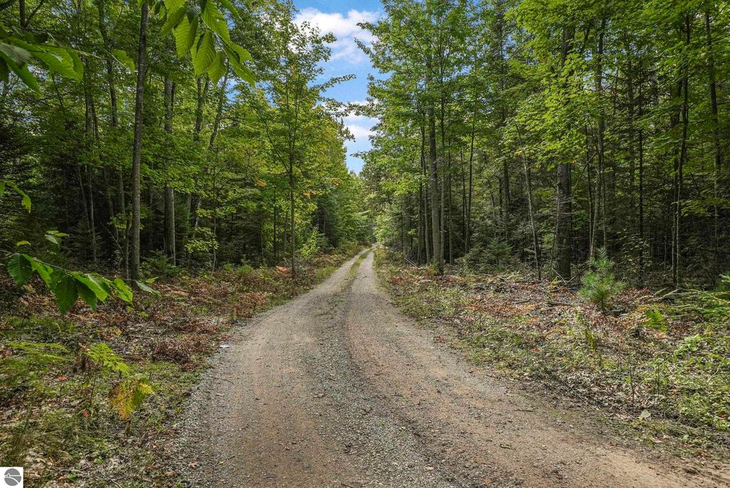 Gravel driveway leading through lush green forest, showcasing the natural surroundings near 5361 N Manitou Trail, Leland, MI, ideal for accessing the elevated farmhouse listing.