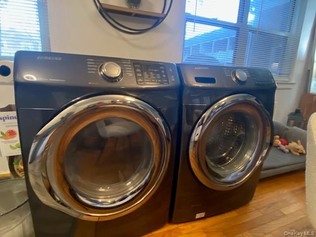 260-40 73rd. Avenue 1st floor, Glen Oaks, NY 11004