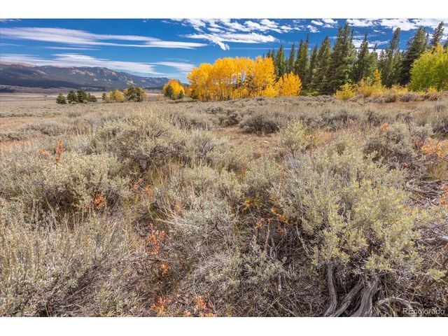 0 TBD County Road 28A, Twin Lakes, CO 81251