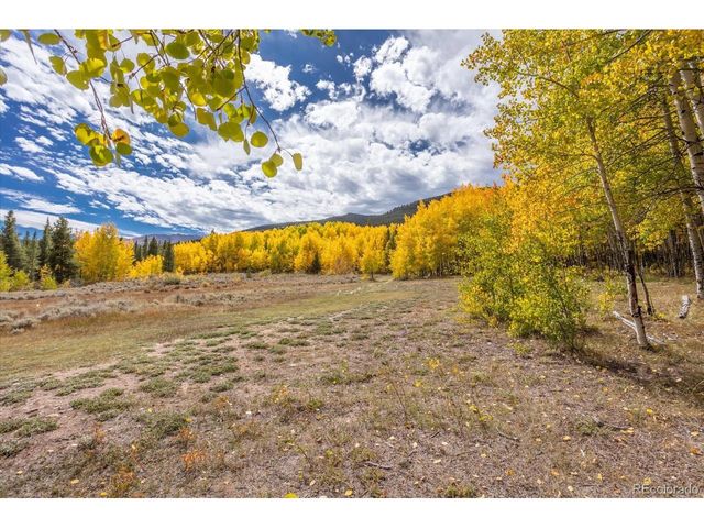 0 TBD County Road 28A, Twin Lakes, CO 81251