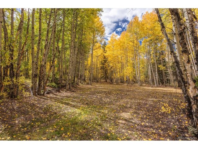 0 TBD County Road 28A, Twin Lakes, CO 81251