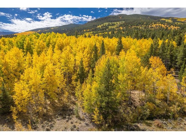 0 TBD County Road 28A, Twin Lakes, CO 81251