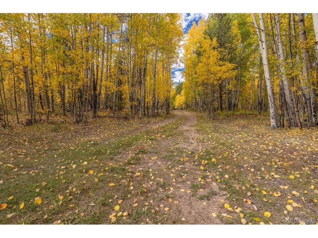 0 TBD County Road 28A, Twin Lakes, CO 81251