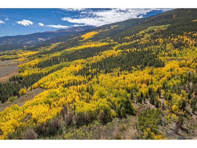 0 TBD County Road 28A, Twin Lakes, CO 81251