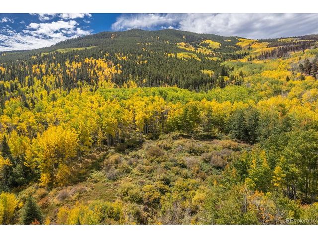0 TBD County Road 28A, Twin Lakes, CO 81251