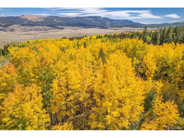 0 TBD County Road 28A, Twin Lakes, CO 81251