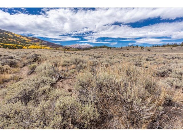 0 TBD County Road 28A, Twin Lakes, CO 81251