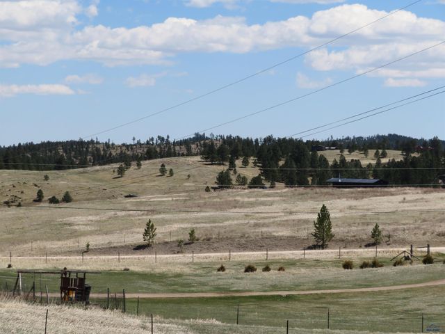 23402 MINERAL LANE, Hill City, SD 57745