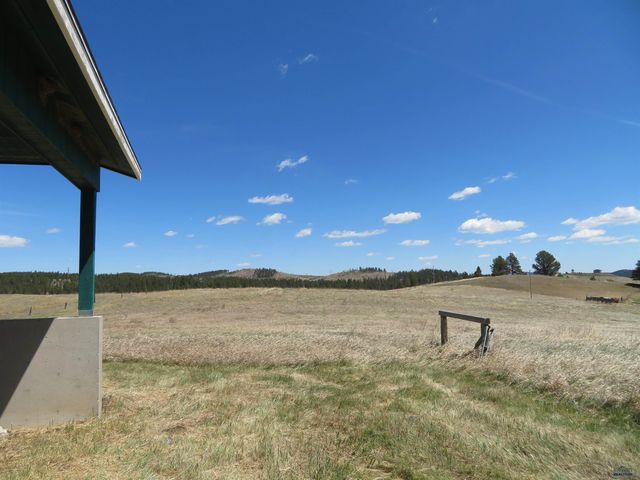 23402 MINERAL LANE, Hill City, SD 57745