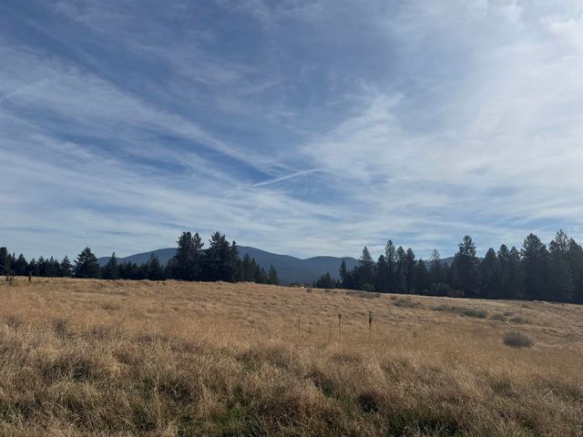 25054 N N Orchard Bluff Rd Rd, Chattaroy, WA 99003