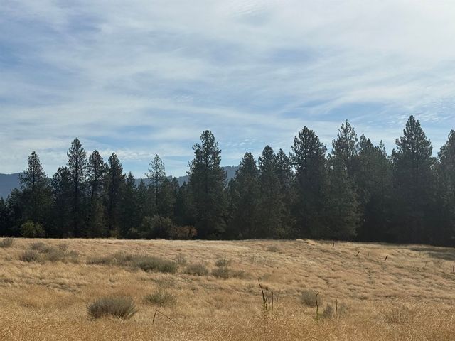 25054 N N Orchard Bluff Rd Rd, Chattaroy, WA 99003