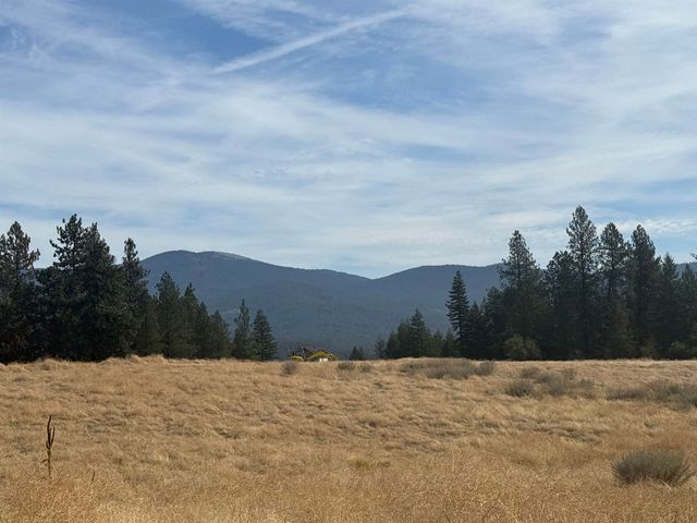 25054 N N Orchard Bluff Rd Rd, Chattaroy, WA 99003