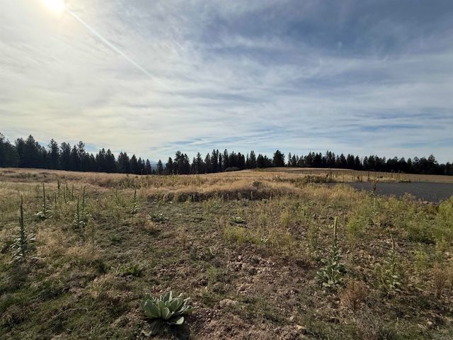 25054 N N Orchard Bluff Rd Rd, Chattaroy, WA 99003