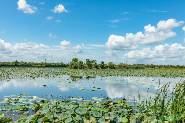 2138 Twin Lakes Boulevard, West Columbia, TX 77486