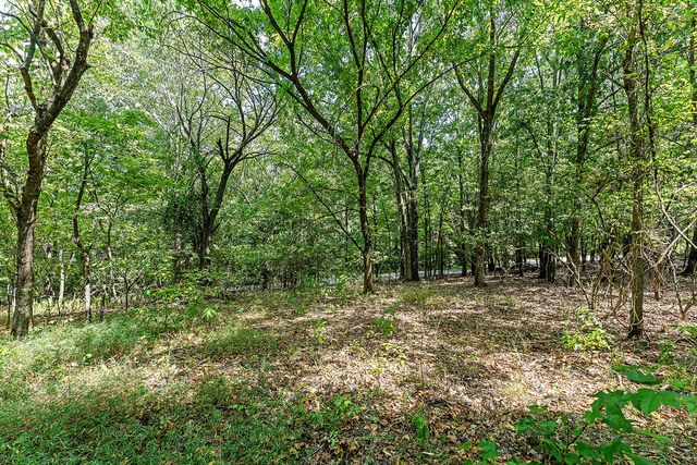 3.15 Acres War Eagle Blacktop Road, Springdale, AR 72764